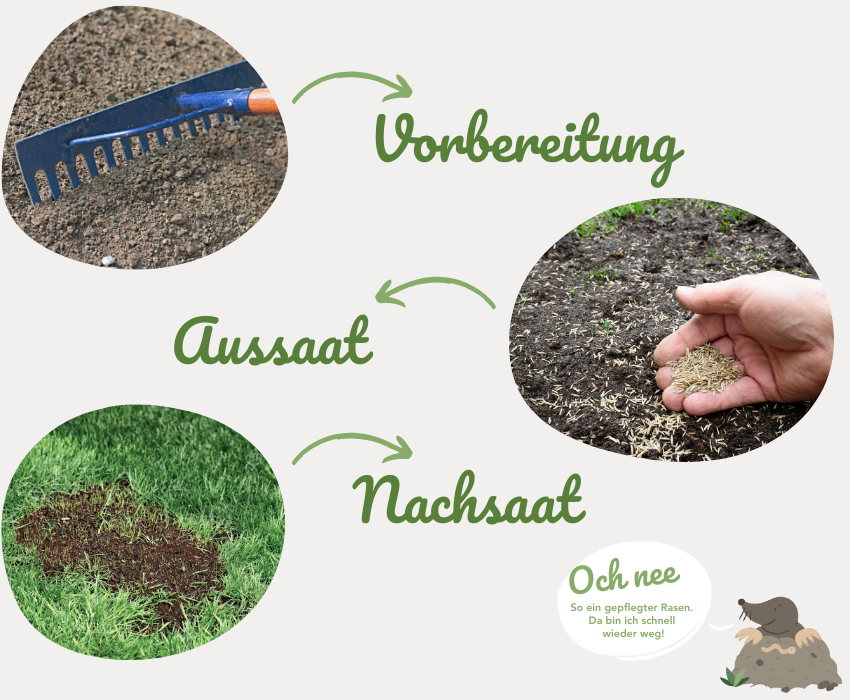 Anwendung Rasenerde kaufen: Torffrei, nachhaltig und perfekt für deinen Rasen